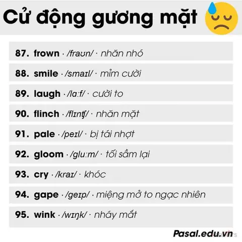 Nhăn Nheo Tiếng Anh Là Gì