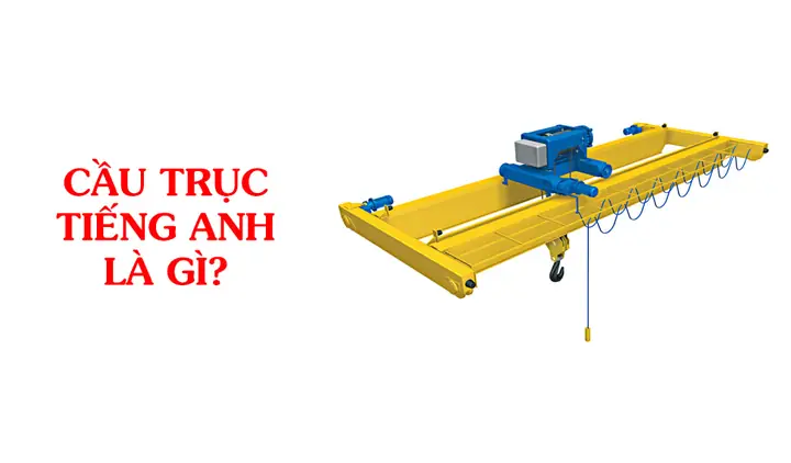 Pa Lăng Tiếng Anh Là Gì
