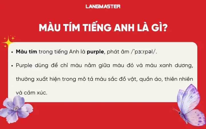 Pal Trong Tiếng Anh Là Gì