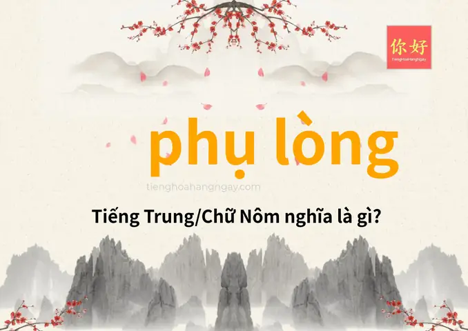Phụ Lòng Tiếng Anh Là Gì