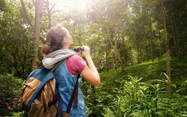 Sinh Thái Tiếng Anh Là Gì Sinh Thái Tiếng Anh Là Gì