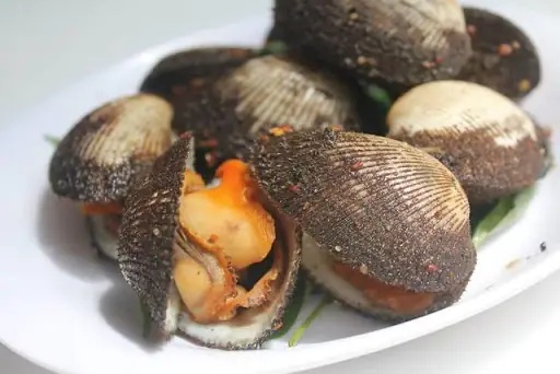 Sò Lông Tiếng Anh Là Gì Sò Lông Tiếng Anh Là Gì
