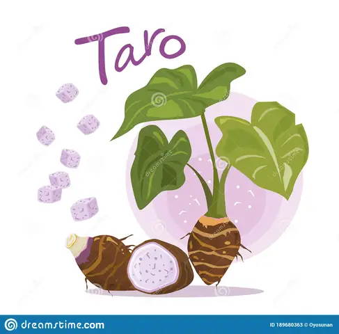 Ta Rô Tiếng Anh Là Gì