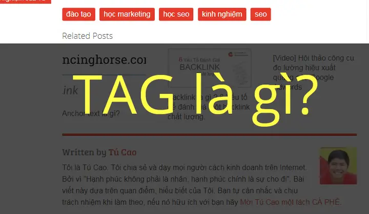 Tag Là Gì Trong Tiếng Anh