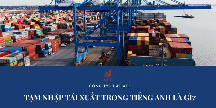 Tái Xuất Tiếng Anh Là Gì