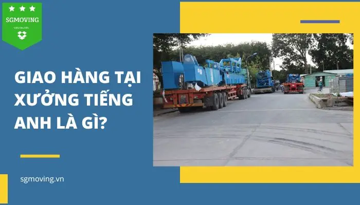 Tải Xuống Tiếng Anh Là Gì