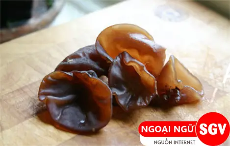 Tâm Nhĩ Tiếng Anh Là Gì