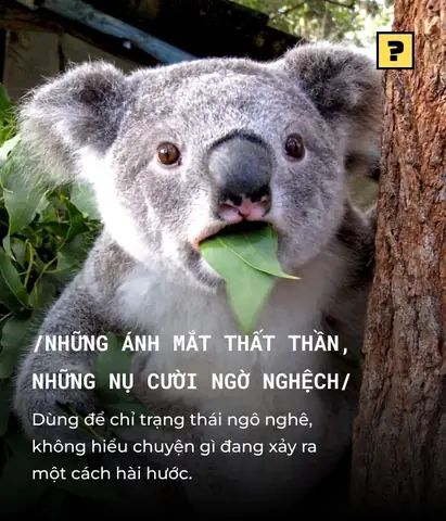 Thất Thần Tiếng Anh Là Gì