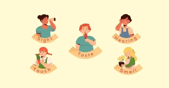 Thị Giác Tiếng Anh Là Gì Thị Giác Tiếng Anh Là Gì