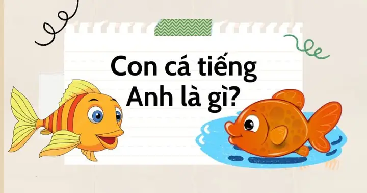 Thơ Ca Tiếng Anh Là Gì