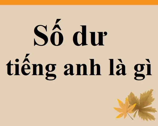 Tiền Dư Tiếng Anh Là Gì