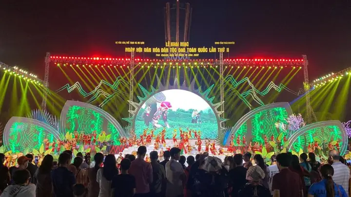 Tổ Chức Là Gì Tiếng Anh