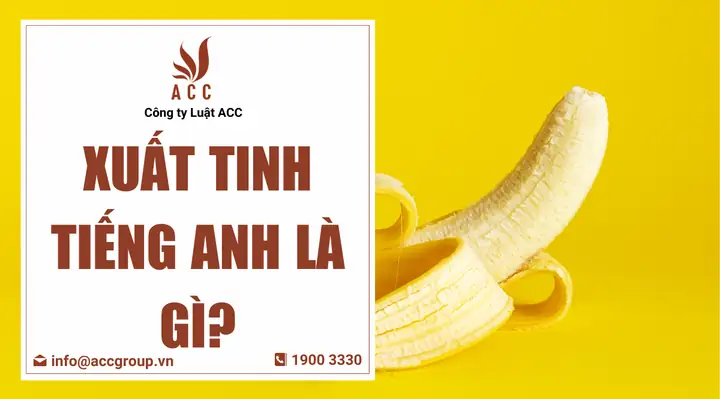 Tuổi Mụ Tiếng Anh Là Gì