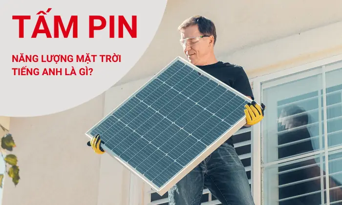 Tuỳ Tâm Tiếng Anh Là Gì