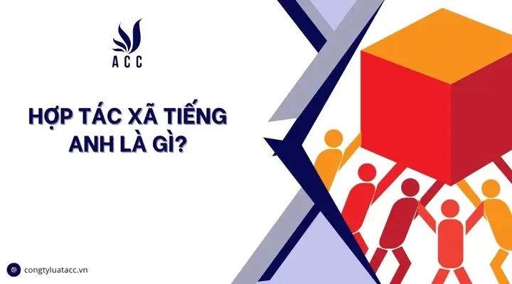 Xa Hơn Tiếng Anh Là Gì