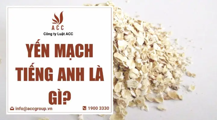 Yến Tên Tiếng Anh Là Gì Yến Tên Tiếng Anh Là Gì