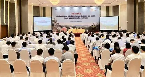 Hội Thao Trong Tiếng Anh Là Gì? Giải Nghĩa Chi Tiết Và Cách Sử Dụng Chính Xác