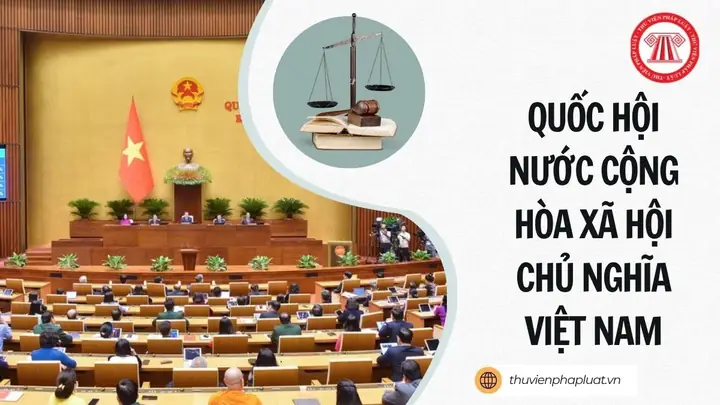 Nước Hoa Nam Tiếng Anh Là Gì? Tìm Hiểu Từ Vựng, Phân Loại Và Cách Sử Dụng